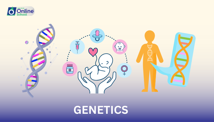 Lesson 01: Introduction to Genetics